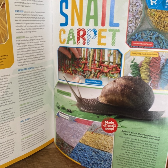 Ripley’s believe it or not eye popping oddities 12 - Picture 5 of 12